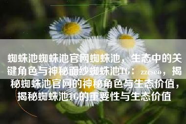 蜘蛛池蜘蛛池官网蜘蛛池，生态中的关键角色与神秘面纱蜘蛛池TG：zzcseo，揭秘蜘蛛池官网的神秘角色与生态价值，揭秘蜘蛛池TG的重要性与生态价值