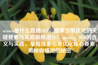 seoseo是什么意思SEO，搜索引擎优化的关键要素与实践蜘蛛池TG：zzcseo，SEO的含义与实践，掌握搜索引擎优化核心要素，揭秘蜘蛛池的秘密