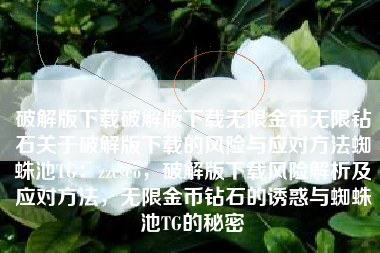 破解版下载破解版下载无限金币无限钻石关于破解版下载的风险与应对方法蜘蛛池TG：zzcseo，破解版下载风险解析及应对方法，无限金币钻石的诱惑与蜘蛛池TG的秘密