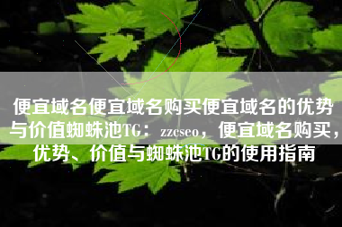 便宜域名便宜域名购买便宜域名的优势与价值蜘蛛池TG：zzcseo，便宜域名购买，优势、价值与蜘蛛池TG的使用指南