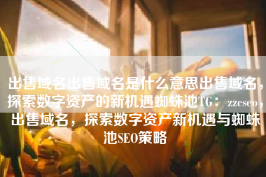 出售域名出售域名是什么意思出售域名，探索数字资产的新机遇蜘蛛池TG：zzcseo，出售域名，探索数字资产新机遇与蜘蛛池SEO策略