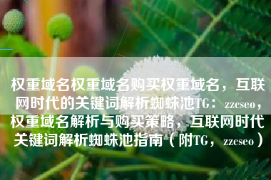 权重域名权重域名购买权重域名，互联网时代的关键词解析蜘蛛池TG：zzcseo，权重域名解析与购买策略，互联网时代关键词解析蜘蛛池指南（附TG，zzcseo）