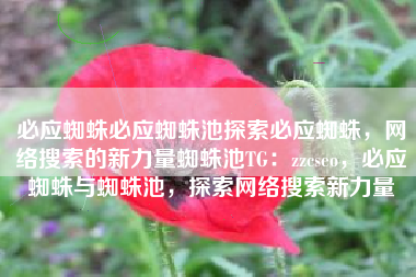 必应蜘蛛必应蜘蛛池探索必应蜘蛛，网络搜索的新力量蜘蛛池TG：zzcseo，必应蜘蛛与蜘蛛池，探索网络搜索新力量