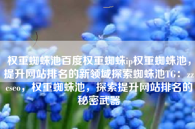 权重蜘蛛池百度权重蜘蛛ip权重蜘蛛池，提升网站排名的新领域探索蜘蛛池TG：zzcseo，权重蜘蛛池，探索提升网站排名的秘密武器