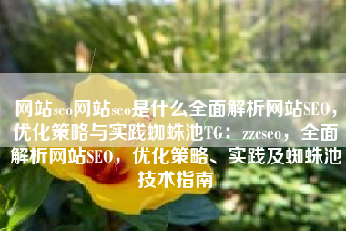 网站seo网站seo是什么全面解析网站SEO，优化策略与实践蜘蛛池TG：zzcseo，全面解析网站SEO，优化策略、实践及蜘蛛池技术指南
