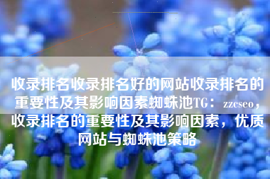 收录排名收录排名好的网站收录排名的重要性及其影响因素蜘蛛池TG：zzcseo，收录排名的重要性及其影响因素，优质网站与蜘蛛池策略