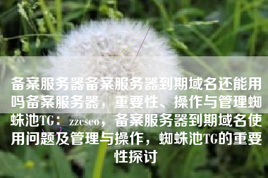 备案服务器备案服务器到期域名还能用吗备案服务器，重要性、操作与管理蜘蛛池TG：zzcseo，备案服务器到期域名使用问题及管理与操作，蜘蛛池TG的重要性探讨