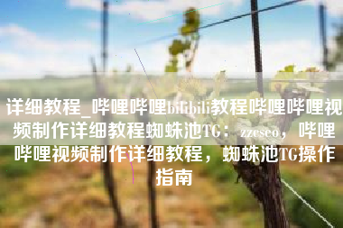 详细教程_哔哩哔哩bilibili教程哔哩哔哩视频制作详细教程蜘蛛池TG：zzcseo，哔哩哔哩视频制作详细教程，蜘蛛池TG操作指南