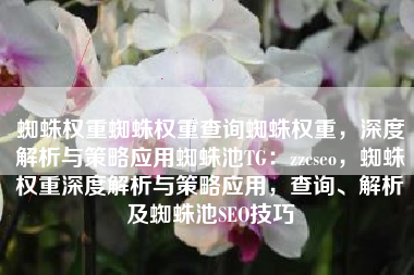 蜘蛛权重蜘蛛权重查询蜘蛛权重，深度解析与策略应用蜘蛛池TG：zzcseo，蜘蛛权重深度解析与策略应用，查询、解析及蜘蛛池SEO技巧