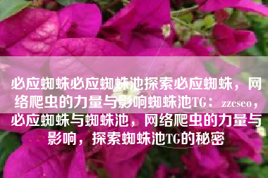 必应蜘蛛必应蜘蛛池探索必应蜘蛛，网络爬虫的力量与影响蜘蛛池TG：zzcseo，必应蜘蛛与蜘蛛池，网络爬虫的力量与影响，探索蜘蛛池TG的秘密