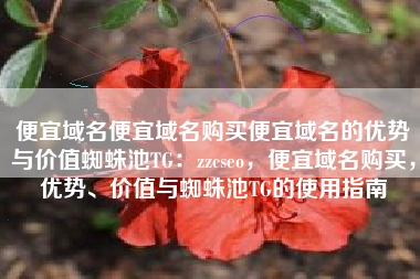 便宜域名便宜域名购买便宜域名的优势与价值蜘蛛池TG：zzcseo，便宜域名购买，优势、价值与蜘蛛池TG的使用指南