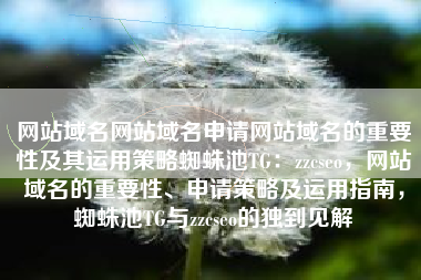 网站域名网站域名申请网站域名的重要性及其运用策略蜘蛛池TG：zzcseo，网站域名的重要性、申请策略及运用指南，蜘蛛池TG与zzcseo的独到见解
