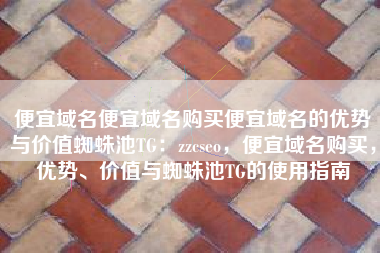 便宜域名便宜域名购买便宜域名的优势与价值蜘蛛池TG：zzcseo，便宜域名购买，优势、价值与蜘蛛池TG的使用指南