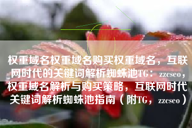权重域名权重域名购买权重域名，互联网时代的关键词解析蜘蛛池TG：zzcseo，权重域名解析与购买策略，互联网时代关键词解析蜘蛛池指南（附TG，zzcseo）