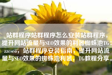 站群程序站群程序怎么安装站群程序，提升网站流量与SEO效果的利器蜘蛛池TG：zzcseo，站群程序安装指南，提升网站流量与SEO效果的蜘蛛池利器，TG教程分享。