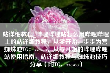 站详细教程_哔哩哔哩站怎么用哔哩哔哩上的站详细教程，从零开始，步步为营蜘蛛池TG：zzcseo，从零开始的哔哩哔哩站使用指南，站详细教程与蜘蛛池技巧分享（附TG，zzcseo）