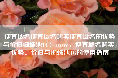 便宜域名便宜域名购买便宜域名的优势与价值蜘蛛池TG：zzcseo，便宜域名购买，优势、价值与蜘蛛池TG的使用指南