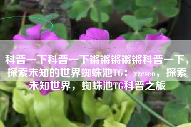 科普一下科普一下锵锵锵锵锵科普一下，探索未知的世界蜘蛛池TG：zzcseo，探索未知世界，蜘蛛池TG科普之旅