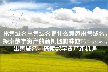 出售域名出售域名是什么意思出售域名，探索数字资产的新机遇蜘蛛池TG：zzcseo，出售域名，探索数字资产新机遇