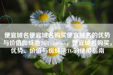 便宜域名便宜域名购买便宜域名的优势与价值蜘蛛池TG：zzcseo，便宜域名购买，优势、价值与蜘蛛池TG的使用指南