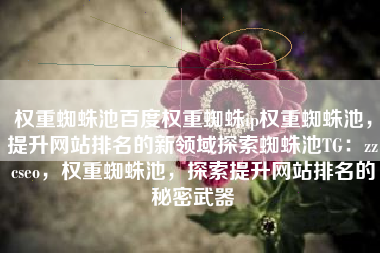权重蜘蛛池百度权重蜘蛛ip权重蜘蛛池，提升网站排名的新领域探索蜘蛛池TG：zzcseo，权重蜘蛛池，探索提升网站排名的秘密武器