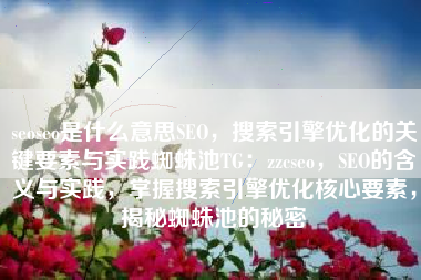 seoseo是什么意思SEO，搜索引擎优化的关键要素与实践蜘蛛池TG：zzcseo，SEO的含义与实践，掌握搜索引擎优化核心要素，揭秘蜘蛛池的秘密