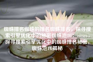 蜘蛛排名蜘蛛的排名蜘蛛排名，探寻搜索引擎优化中的秘密蜘蛛池TG：zzcseo，探寻搜索引擎优化中的蜘蛛排名秘密，蜘蛛池TG揭秘
