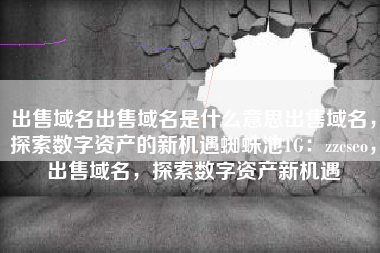 出售域名出售域名是什么意思出售域名，探索数字资产的新机遇蜘蛛池TG：zzcseo，出售域名，探索数字资产新机遇