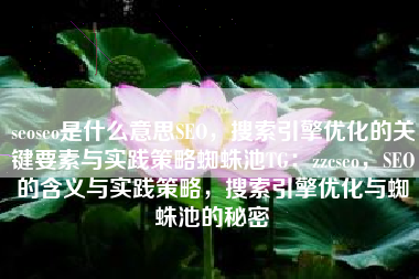 seoseo是什么意思SEO，搜索引擎优化的关键要素与实践策略蜘蛛池TG：zzcseo，SEO的含义与实践策略，搜索引擎优化与蜘蛛池的秘密