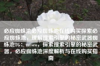必应蜘蛛池必应蜘蛛池在线购买探索必应蜘蛛池，理解搜索引擎的秘密武器蜘蛛池TG：zzcseo，探索搜索引擎的秘密武器，必应蜘蛛池深度解析与在线购买指南