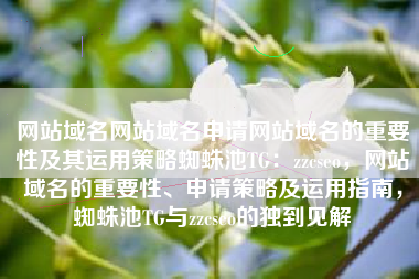 网站域名网站域名申请网站域名的重要性及其运用策略蜘蛛池TG：zzcseo，网站域名的重要性、申请策略及运用指南，蜘蛛池TG与zzcseo的独到见解
