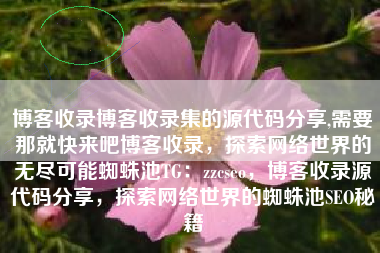 博客收录博客收录集的源代码分享,需要那就快来吧博客收录，探索网络世界的无尽可能蜘蛛池TG：zzcseo，博客收录源代码分享，探索网络世界的蜘蛛池SEO秘籍