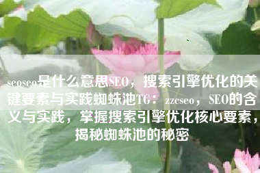 seoseo是什么意思SEO，搜索引擎优化的关键要素与实践蜘蛛池TG：zzcseo，SEO的含义与实践，掌握搜索引擎优化核心要素，揭秘蜘蛛池的秘密