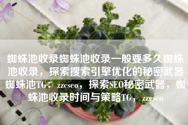 蜘蛛池收录蜘蛛池收录一般要多久蜘蛛池收录，探索搜索引擎优化的秘密武器蜘蛛池TG：zzcseo，探索SEO秘密武器，蜘蛛池收录时间与策略TG，zzcseo