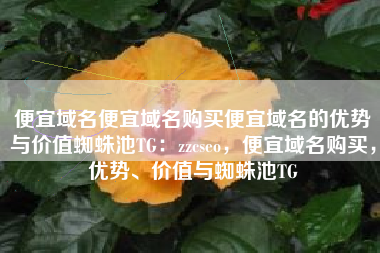 便宜域名便宜域名购买便宜域名的优势与价值蜘蛛池TG：zzcseo，便宜域名购买，优势、价值与蜘蛛池TG