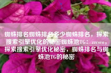 蜘蛛排名蜘蛛排名多少蜘蛛排名，探索搜索引擎优化的秘密蜘蛛池TG：zzcseo，探索搜索引擎优化秘密，蜘蛛排名与蜘蛛池TG的秘密