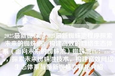 2025最新蜘蛛池2025最新蜘蛛池程序探索未来的蜘蛛池，构建高效的网络生态体系（面向未来的蜘蛛池）蜘蛛池TG：zzcseo，探索未来蜘蛛池技术，构建高效网络生态体系与最新蜘蛛池程序介绍