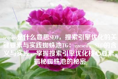 seoseo是什么意思SEO，搜索引擎优化的关键要素与实践蜘蛛池TG：zzcseo，SEO的含义与实践，掌握搜索引擎优化核心要素，揭秘蜘蛛池的秘密
