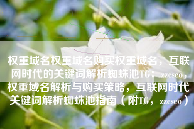 权重域名权重域名购买权重域名，互联网时代的关键词解析蜘蛛池TG：zzcseo，权重域名解析与购买策略，互联网时代关键词解析蜘蛛池指南（附TG，zzcseo）