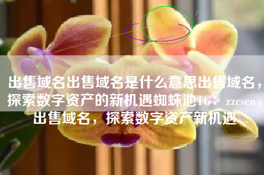 出售域名出售域名是什么意思出售域名，探索数字资产的新机遇蜘蛛池TG：zzcseo，出售域名，探索数字资产新机遇