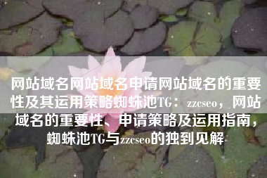 网站域名网站域名申请网站域名的重要性及其运用策略蜘蛛池TG：zzcseo，网站域名的重要性、申请策略及运用指南，蜘蛛池TG与zzcseo的独到见解