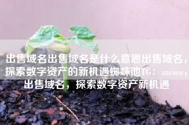 出售域名出售域名是什么意思出售域名，探索数字资产的新机遇蜘蛛池TG：zzcseo，出售域名，探索数字资产新机遇