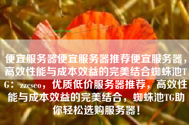便宜服务器便宜服务器推荐便宜服务器，高效性能与成本效益的完美结合蜘蛛池TG：zzcseo，优质低价服务器推荐，高效性能与成本效益的完美结合，蜘蛛池TG助你轻松选购服务器！