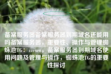 备案服务器备案服务器到期域名还能用吗备案服务器，重要性、操作与管理蜘蛛池TG：zzcseo，备案服务器到期域名使用问题及管理与操作，蜘蛛池TG的重要性探讨