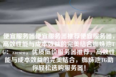 便宜服务器便宜服务器推荐便宜服务器，高效性能与成本效益的完美结合蜘蛛池TG：zzcseo，优质低价服务器推荐，高效性能与成本效益的完美结合，蜘蛛池TG助你轻松选购服务器！