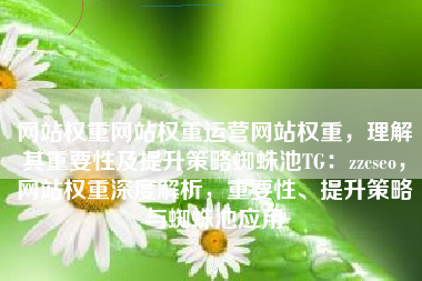 网站权重网站权重运营网站权重，理解其重要性及提升策略蜘蛛池TG：zzcseo，网站权重深度解析，重要性、提升策略与蜘蛛池应用