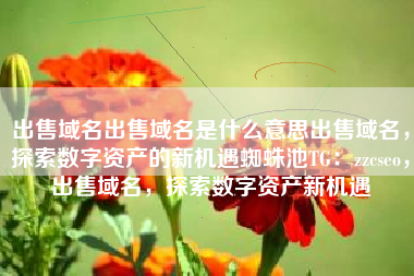 出售域名出售域名是什么意思出售域名，探索数字资产的新机遇蜘蛛池TG：zzcseo，出售域名，探索数字资产新机遇