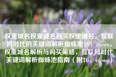 权重域名权重域名购买权重域名，互联网时代的关键词解析蜘蛛池TG：zzcseo，权重域名解析与购买策略，互联网时代关键词解析蜘蛛池指南（附TG，zzcseo）