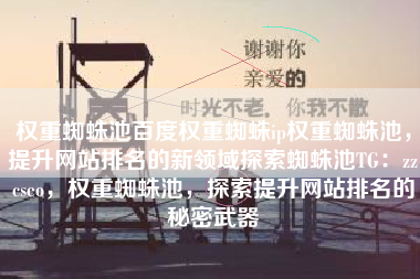 权重蜘蛛池百度权重蜘蛛ip权重蜘蛛池，提升网站排名的新领域探索蜘蛛池TG：zzcseo，权重蜘蛛池，探索提升网站排名的秘密武器
