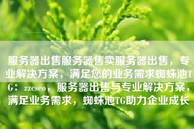 服务器出售服务器售卖服务器出售，专业解决方案，满足您的业务需求蜘蛛池TG：zzcseo，服务器出售与专业解决方案，满足业务需求，蜘蛛池TG助力企业成长